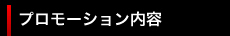 プロモーション内容
